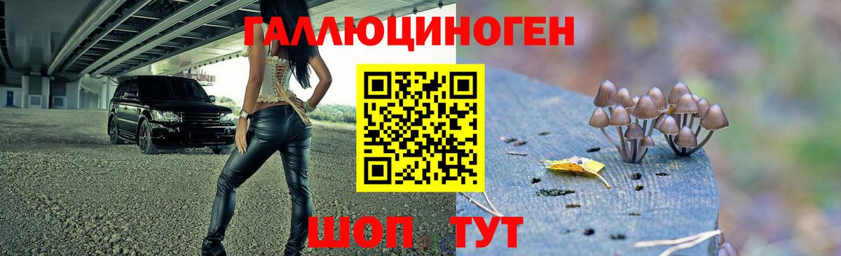 Магнитогорск  Галлюциногенные грибы Magic Shrooms  как найти   Вход с VPN 