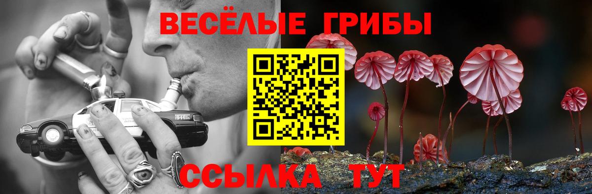 Псилоцибиновые грибы GOLDEN TEACHER Магнитогорск